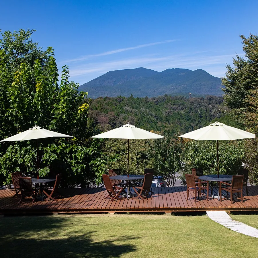 東海テレビ「スイッチ!」