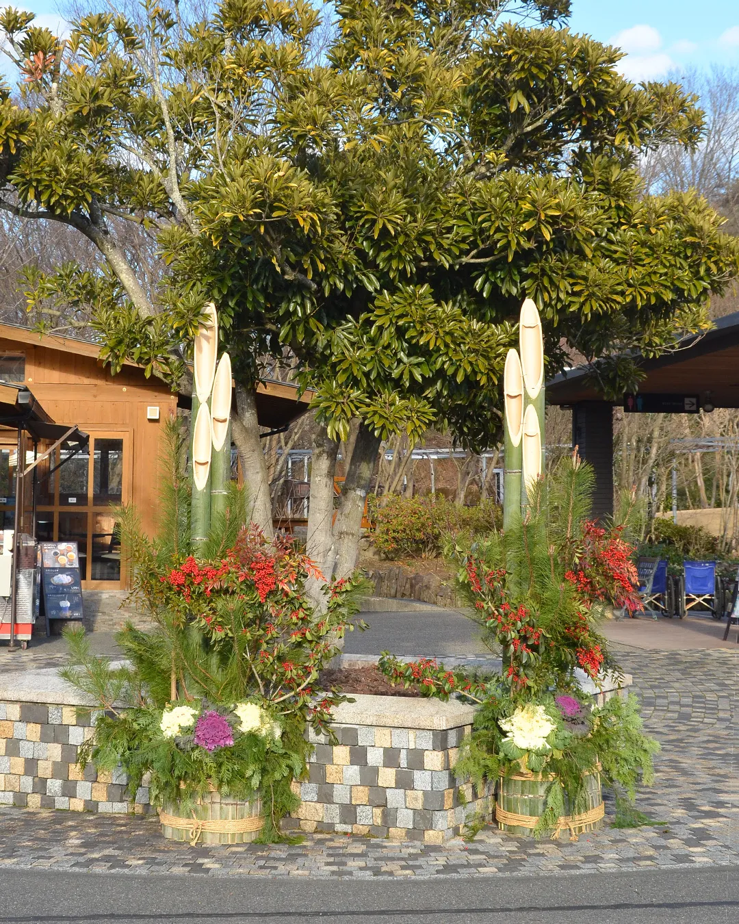 「芽でたまつり」ありがとうございました🌱