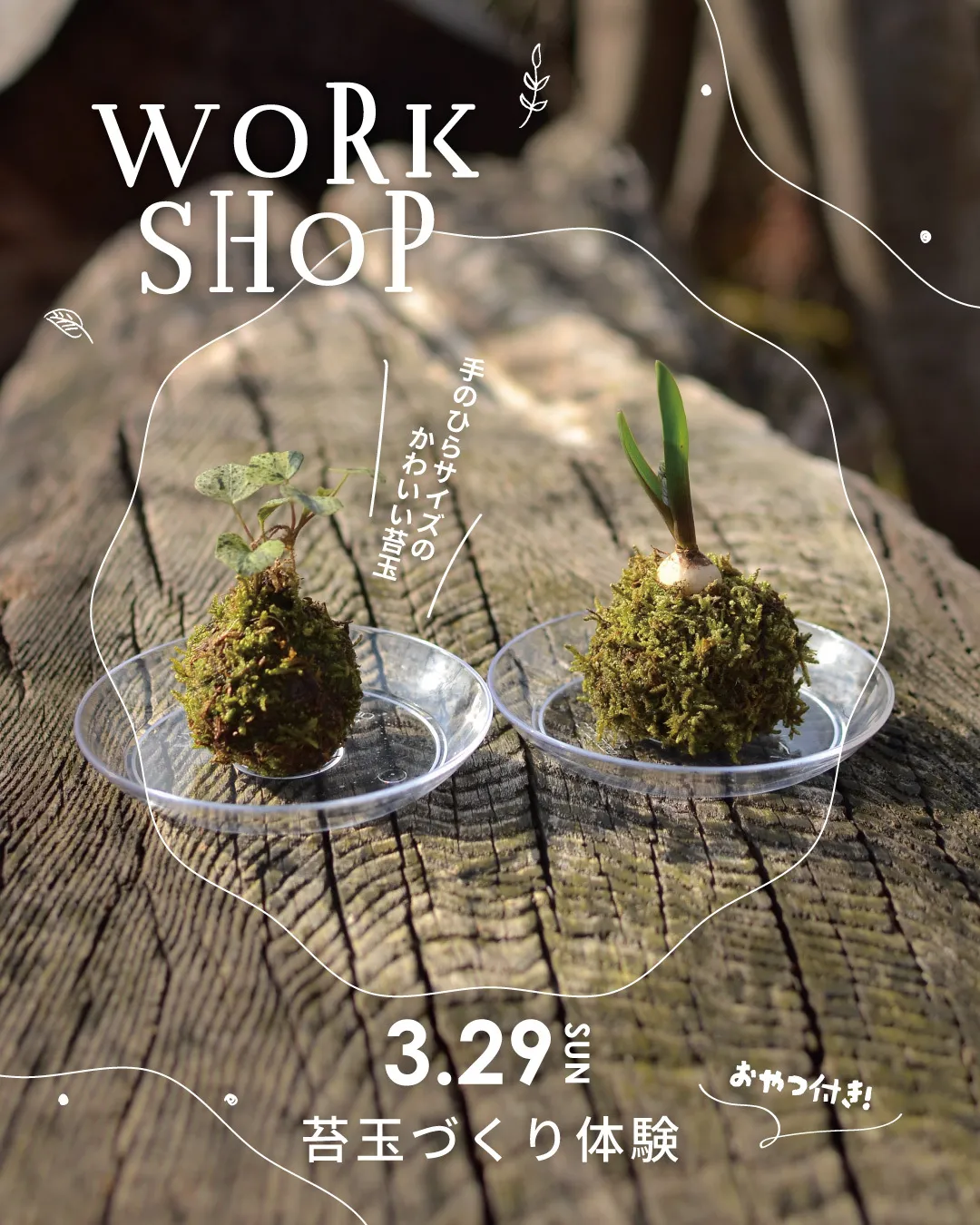 しぜんワークショップ🌱予約スタート