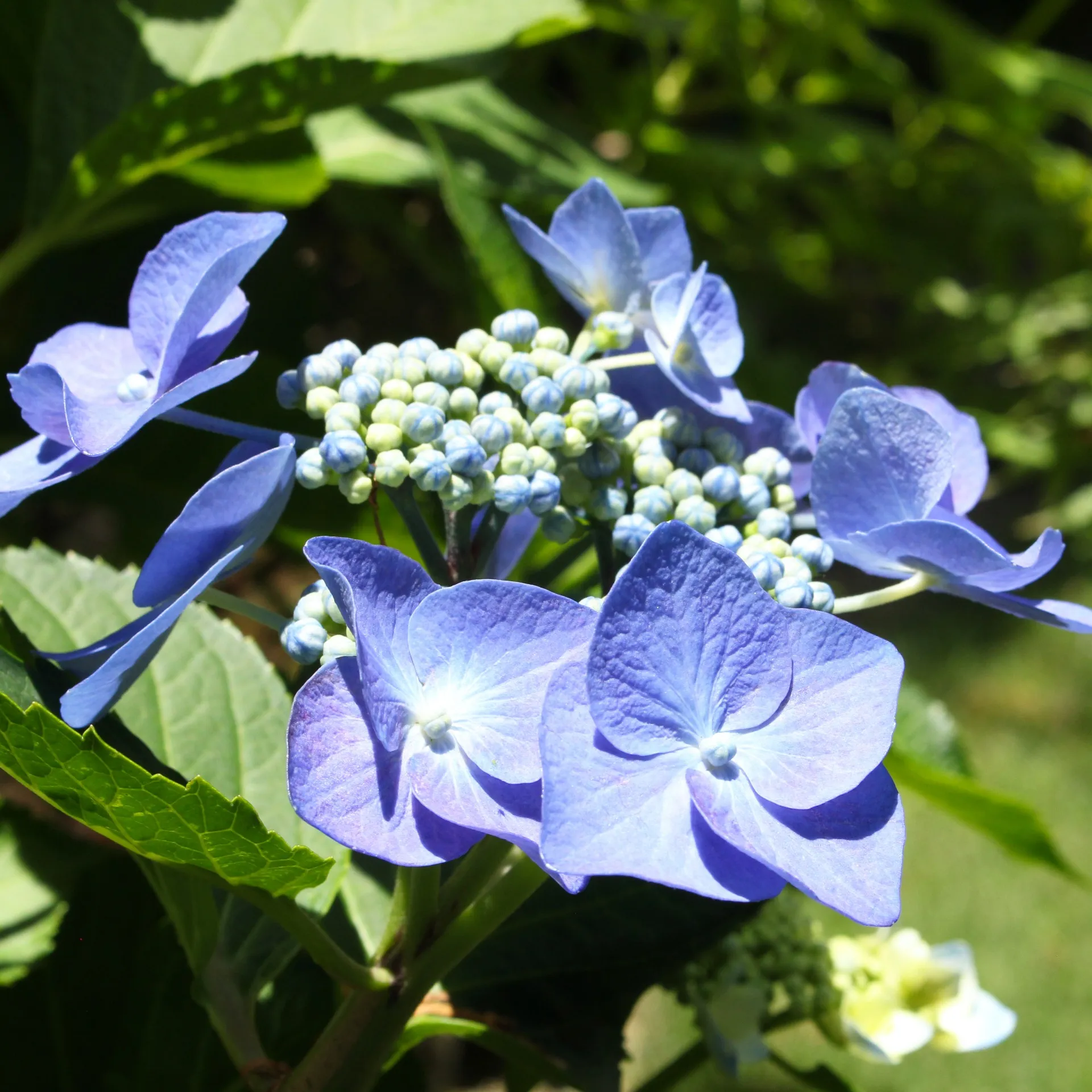 雨の日を楽しむ♪6月の銀の森
